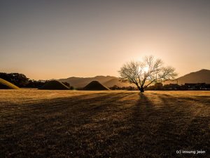 Ancient-Tombs-인왕동-고분군-in-Gyeongju-682x511
