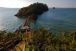 Bridge-to-Beyond-682x454