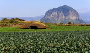 Jejus-Second-World-War-Legacy-682x404