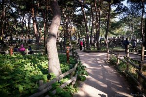 솔밭근린공원-682x455