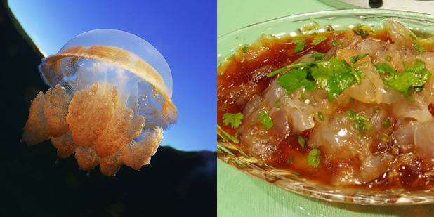 Jellyfish