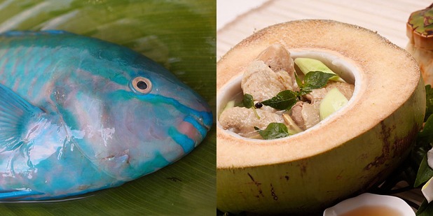 Parrotfish