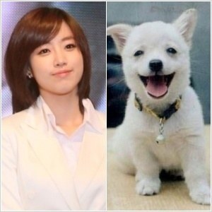 eunjung_dog