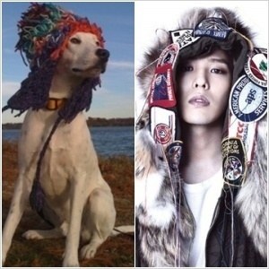 gd_dog2