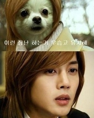 kimhyunjoong_dog