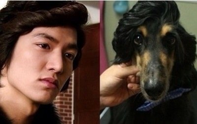 leeminho_dog