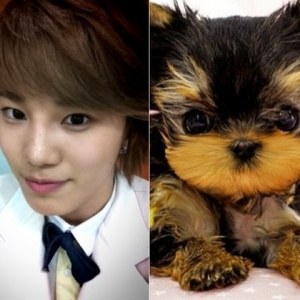 sungjong_dog