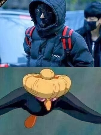 stars & cartoons lookalikes 10