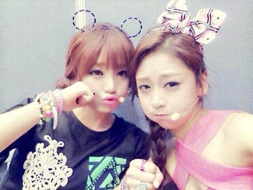 EunB and RiSe2