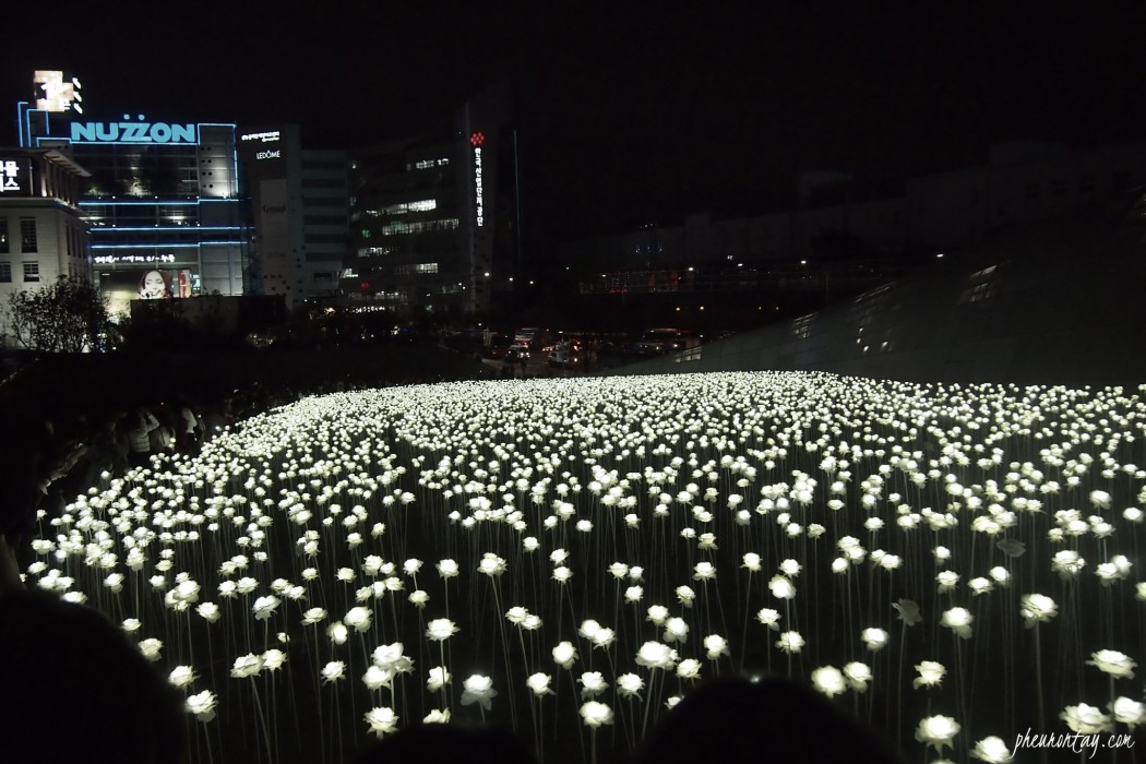 LED flower garden 1