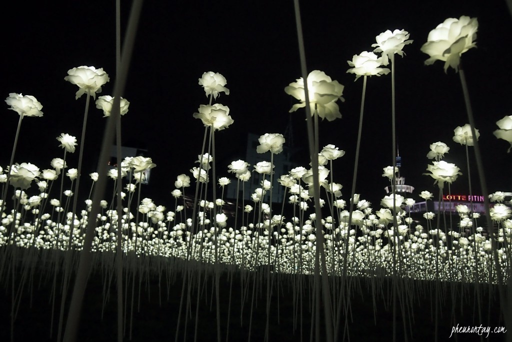 LED flower garden 2