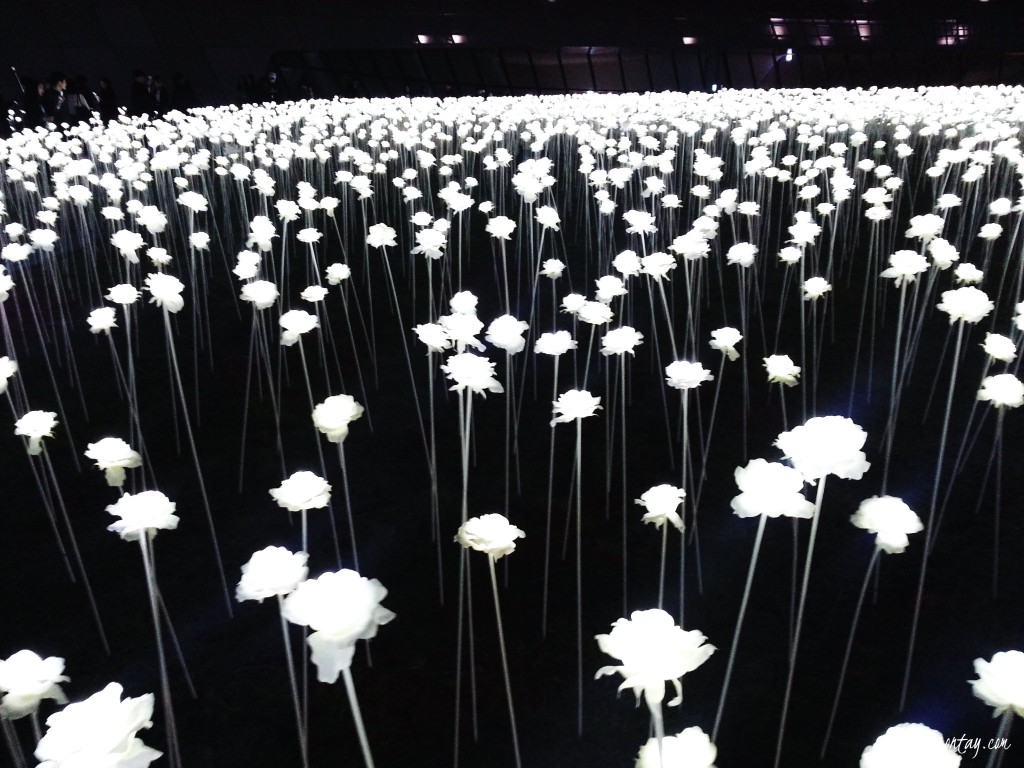 LED flower garden 3