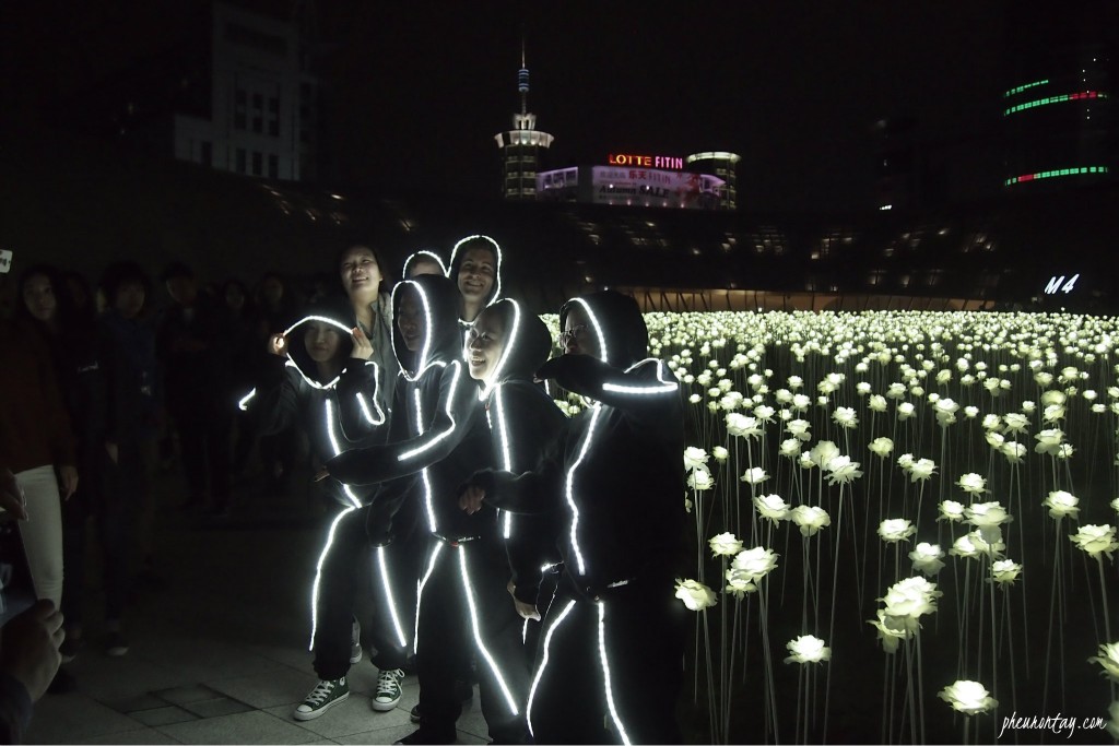 LED flower garden 4