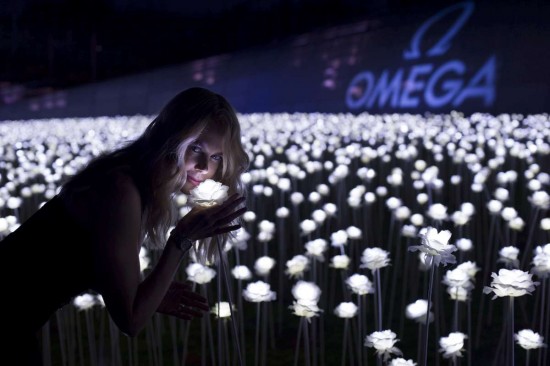 LED flower garden 5