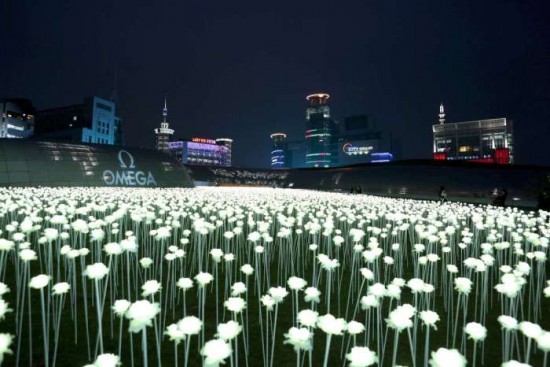 LED flower garden 6