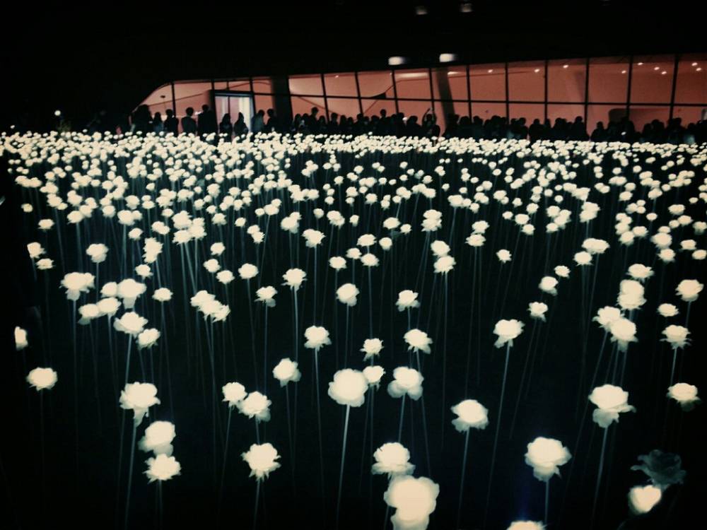 LED flower garden 8