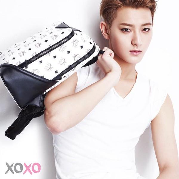 exo mcm 3