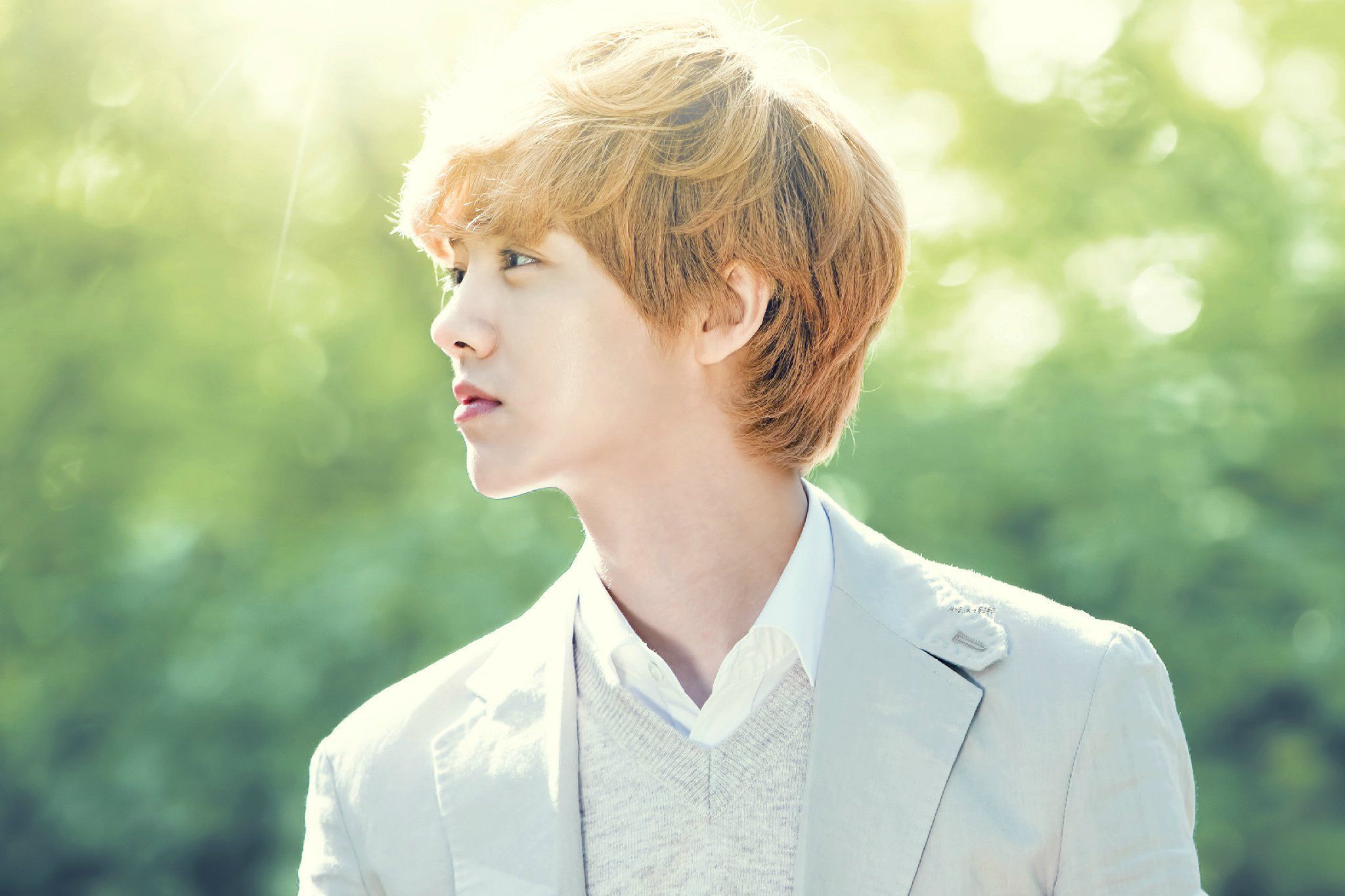 luhan