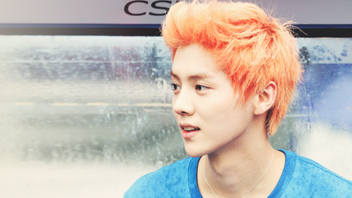 Luhan's Neon Orange