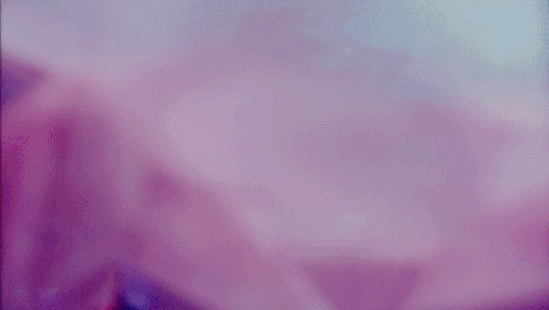 bb6
