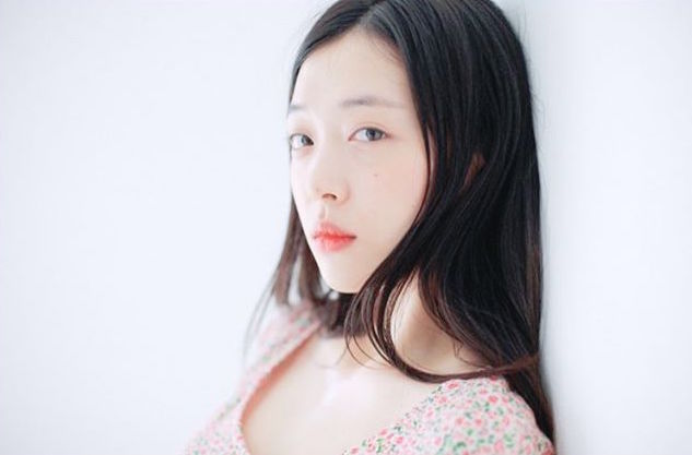 sulli3