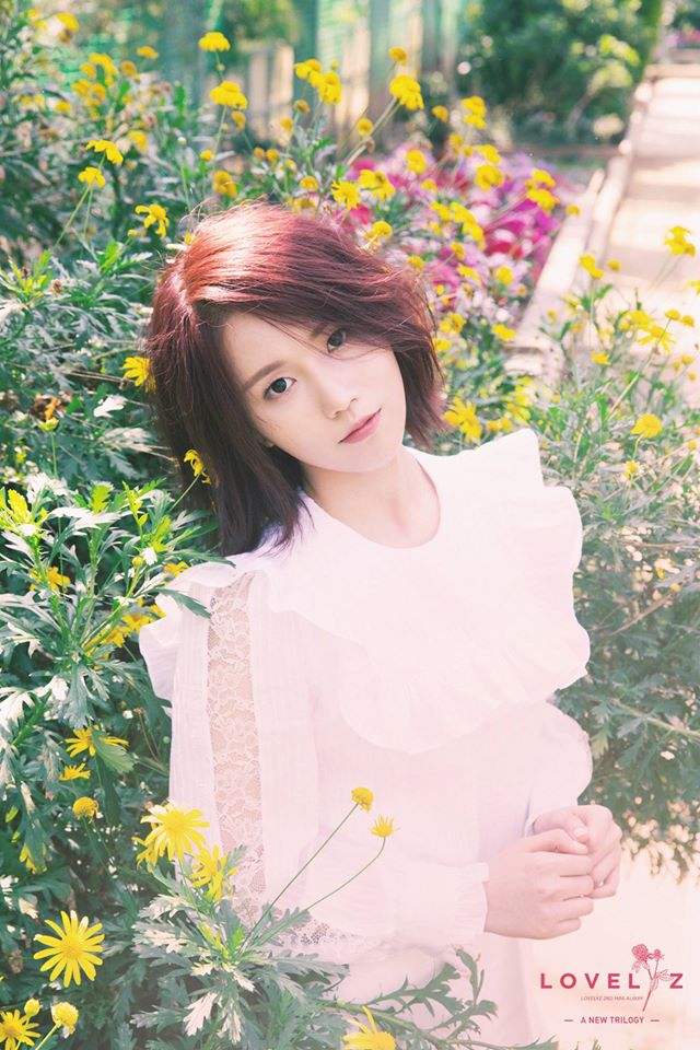 jin