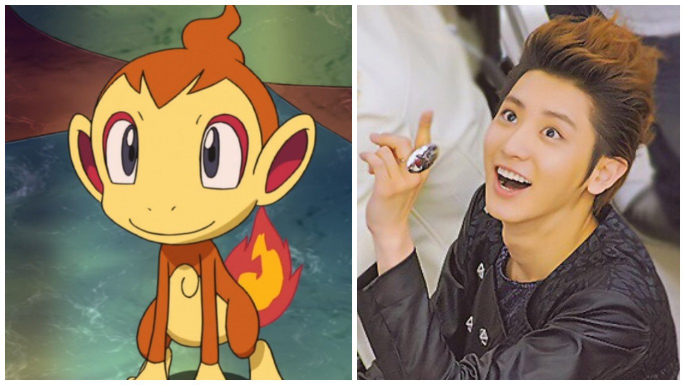 misc_1455748582_chimchar2