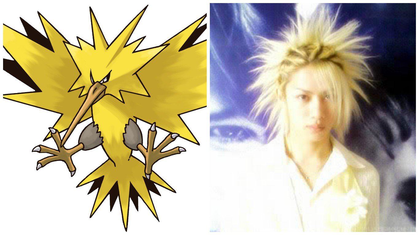 misc_1455835853_zapdos1