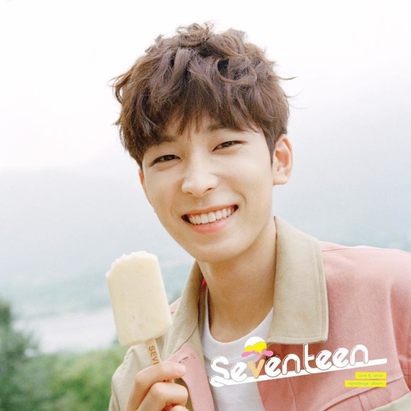 Wonwoo1-800x800